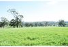 485 Eurimbla Road, Cumnock