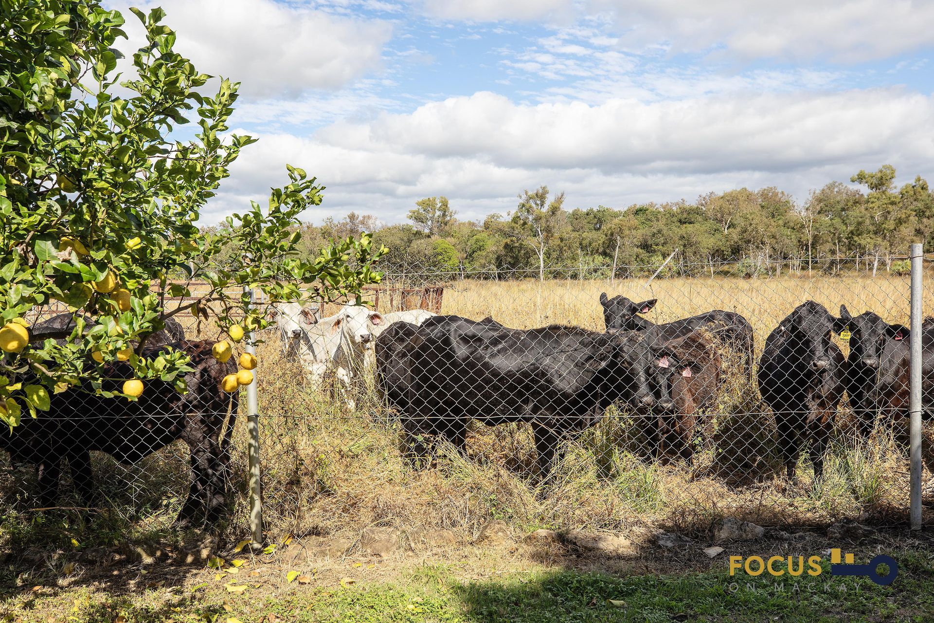 26 Austin Road, Victoria Plains