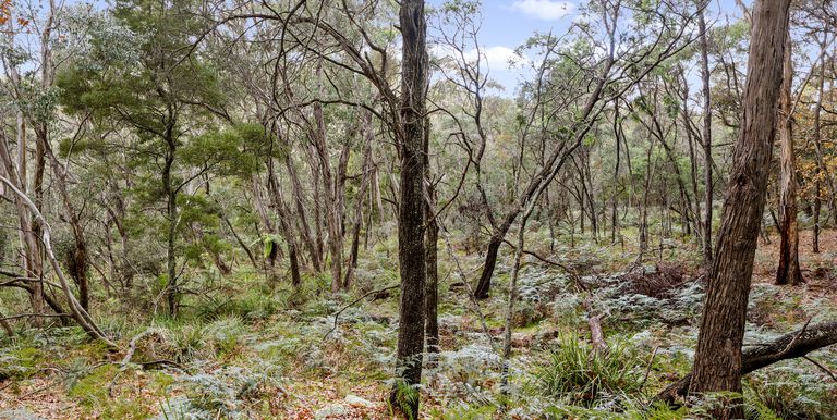 Lot 1 & 2 McCombes Road, Creek Junction