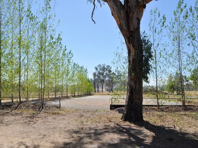 202 Molkentin Road, Jindera