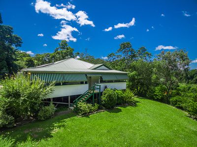 442 Blue Knob Road, Nimbin