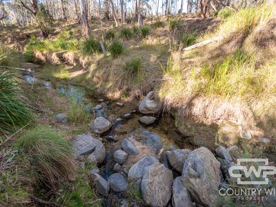 13 Bluff River Road, Tenterfield