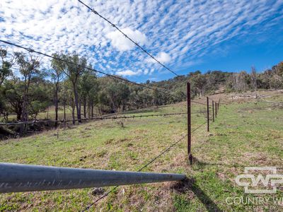 Lot 21 Halls Creek Road, Bendemeer