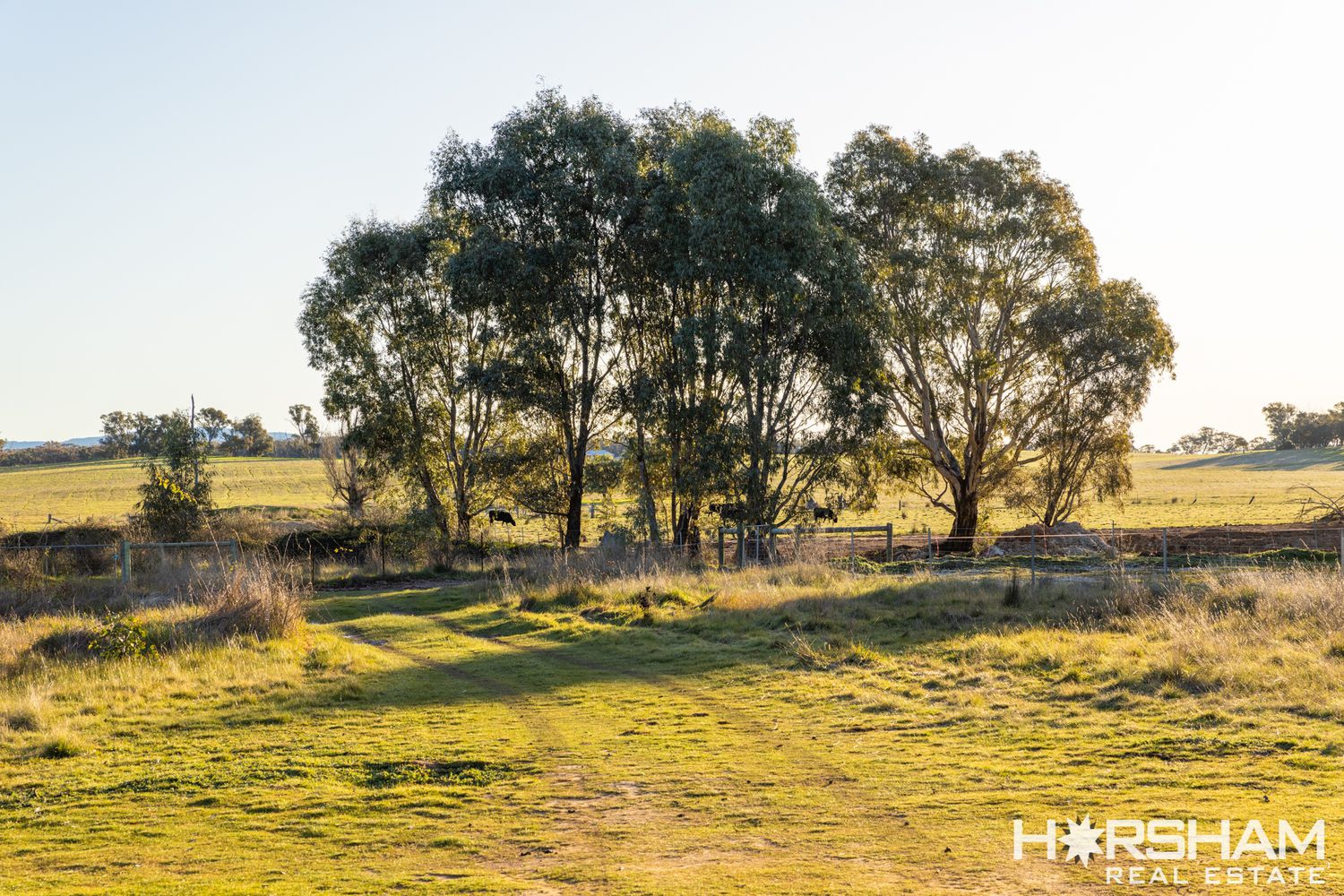 Lot 41 Sims Lane, Homebush