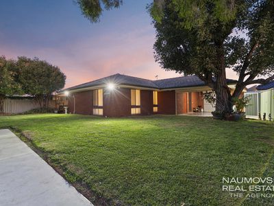 19 Glenwood Way, Balcatta