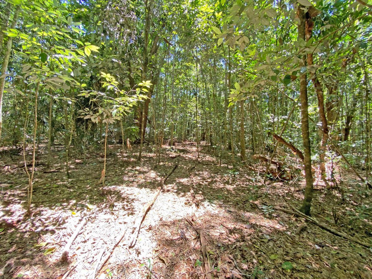 Lake Eacham