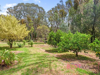 69 Loquat Street, Mandurama