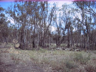 Lot 15 Edward River Road, Moulamein