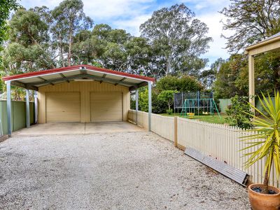 17 Livingstone St, Avenel