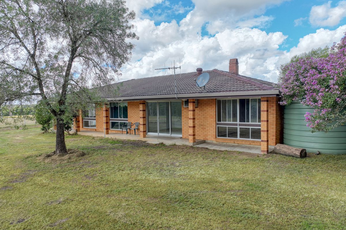 40 Yarratt Road, Cedar Party