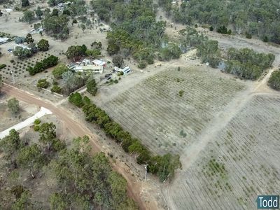 39 Reynolds Court, Graytown