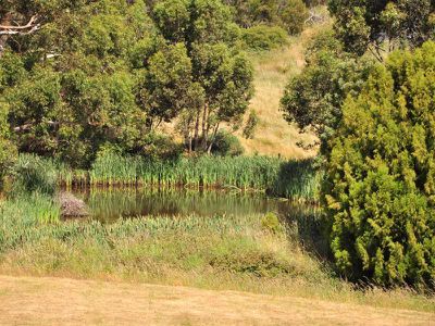 Lot 3 Walters Road, Wattle Grove