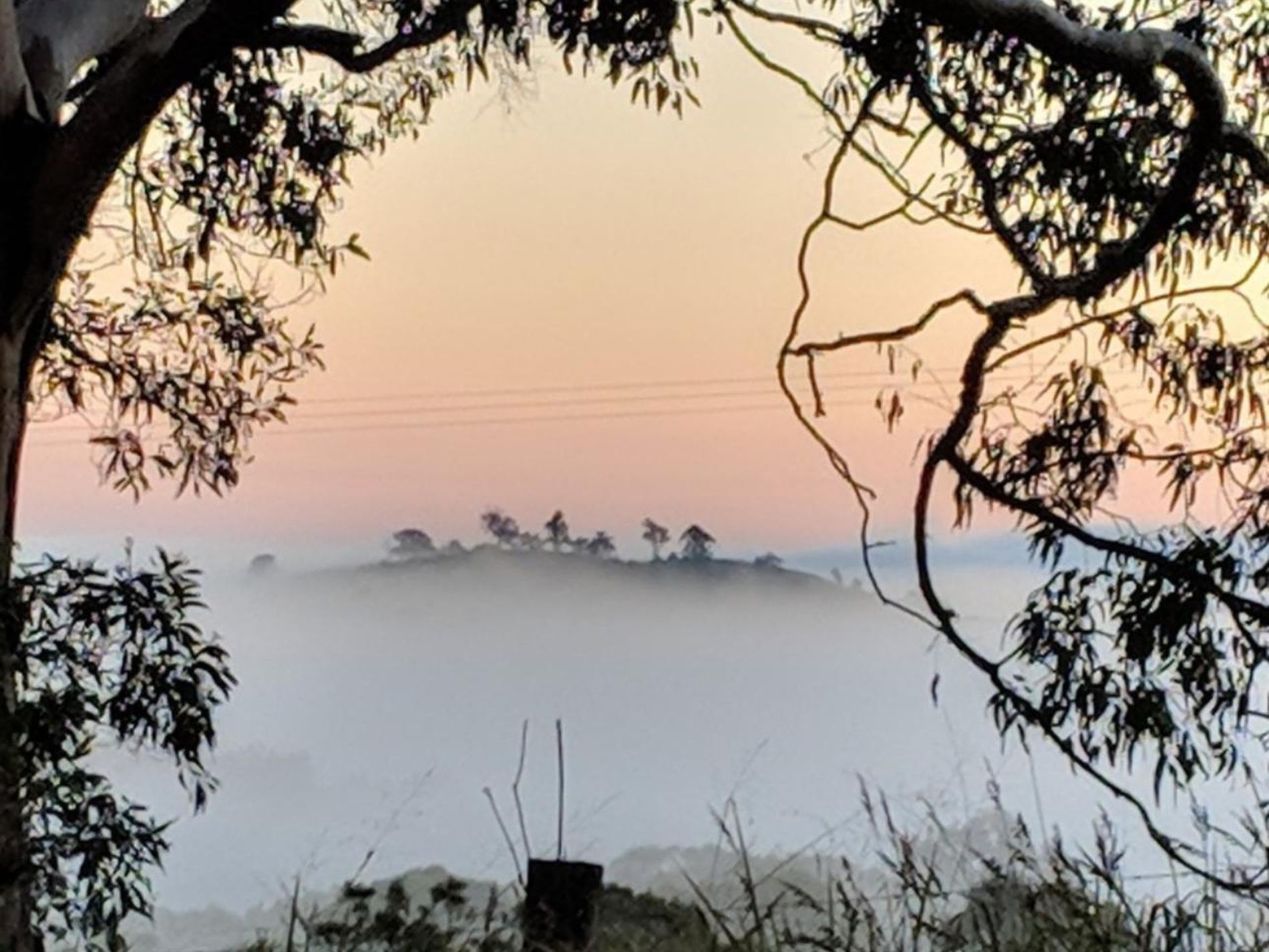 474 Whelan Road, Bollier