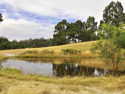 41 Duggans Road, Cradoc