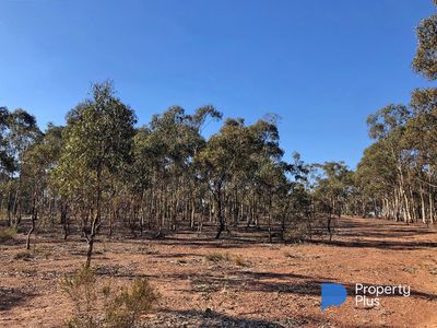 1 Bendigo-Maryborough Road, Shelbourne