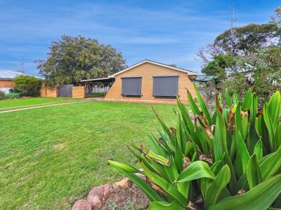 126 York Street, Forbes