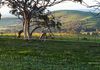 Back Valley
