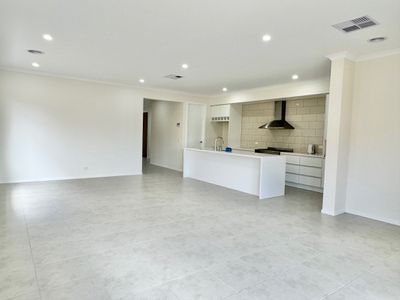 14 Farmingdale Street, Manor Lakes
