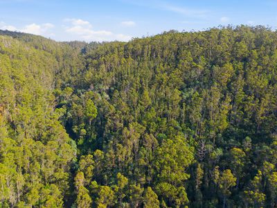 111 Underwoods Road, Nicholls Rivulet