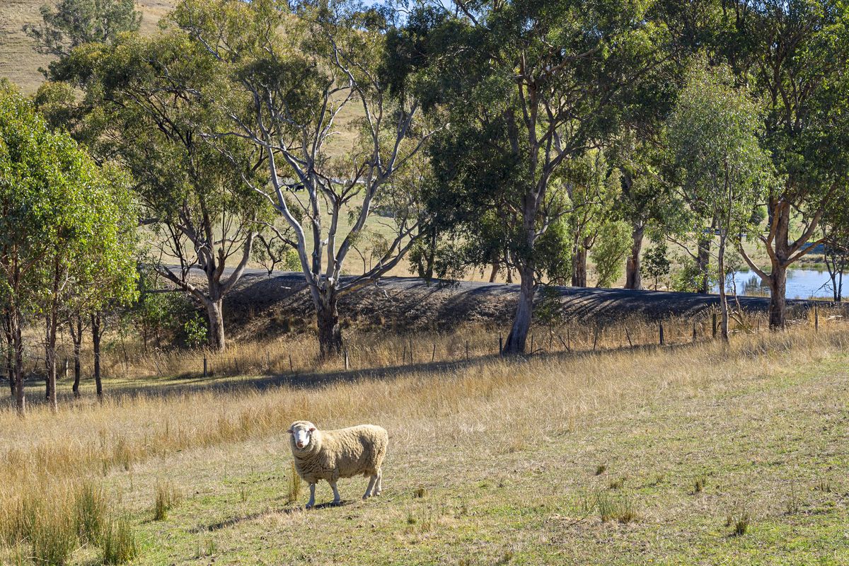 25 Lockharts Road, Bonnie Doon