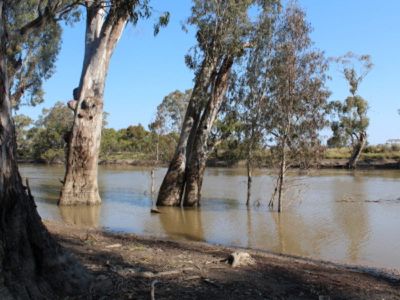 Lot 15 Edward River Road, Moulamein