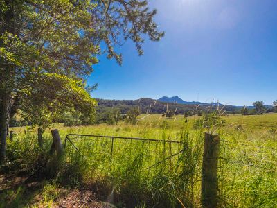 3425 Kyogle Road, Mount Burrell