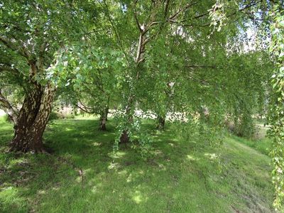 460 Crabtree Road, Crabtree