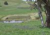 Lot 4 Reyfield Drive, Orange
