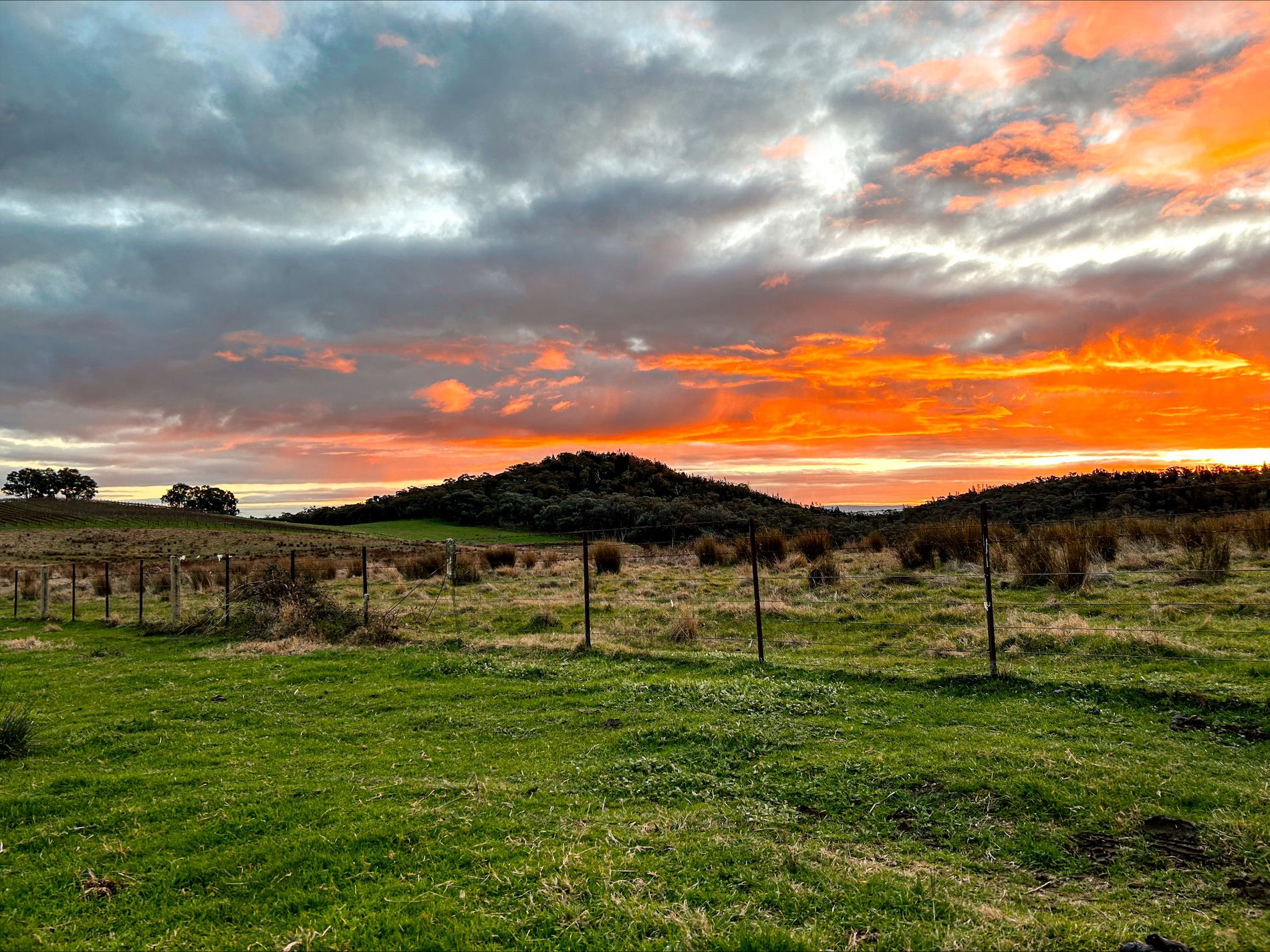 Lot 2, BeechworthWangaratta Road, Everton Upper Morris Bros Real Estate