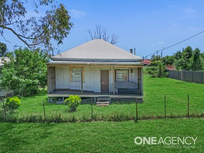 6 Humble Street, Willow Tree