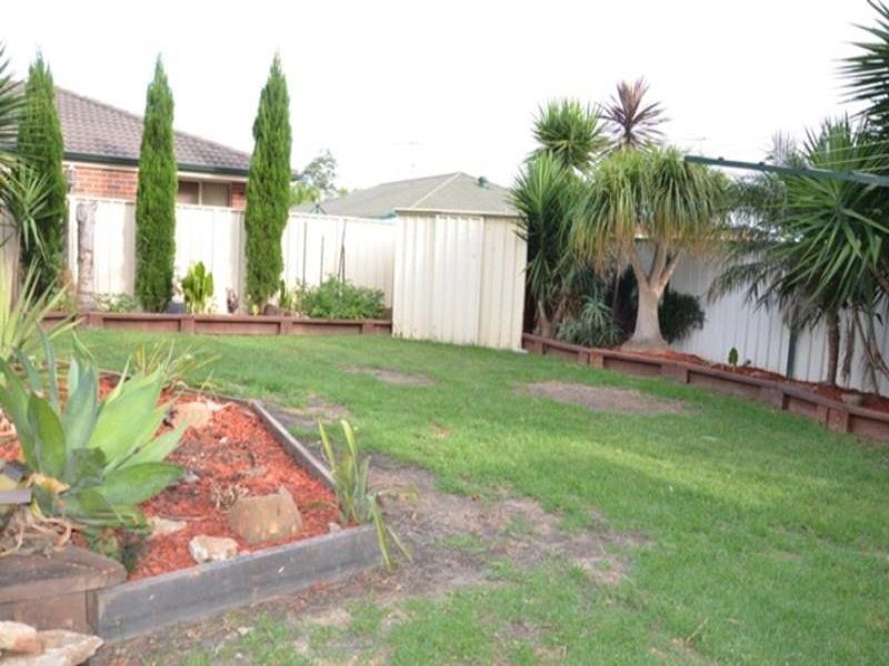 17 Harewood Place, Cecil Hills