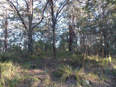Ourimbah
