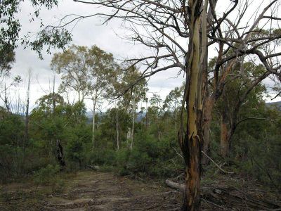 Ellendale Road, Westerway