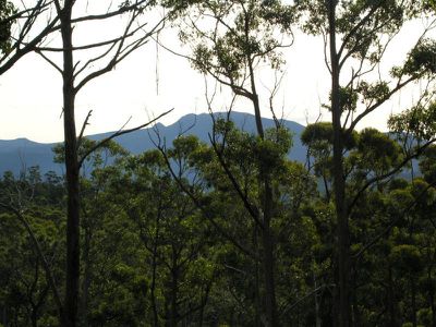 Lune River Road, Lune River