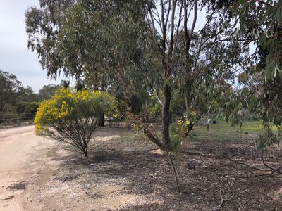 814 Brenanah-Wehla Road, Brenanah