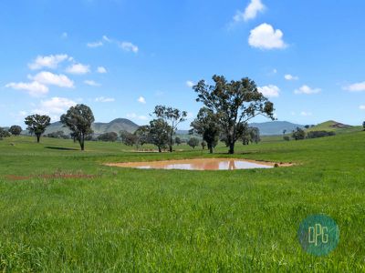 12 Lily Court, Mansfield