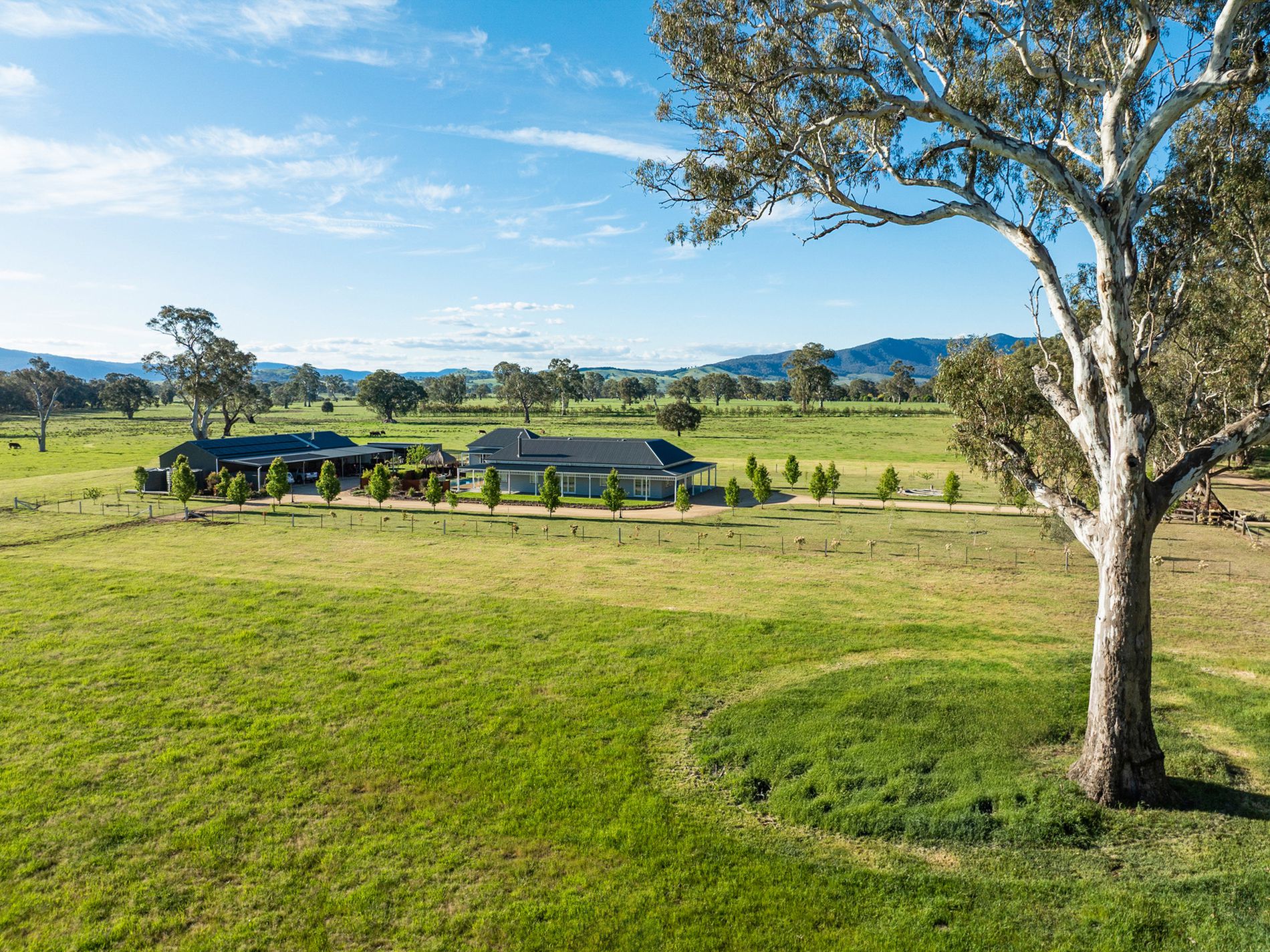43 Dueran Lane, Mansfield
