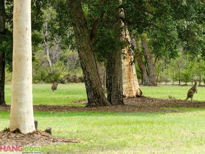 67 Edington Drive, Cooroibah