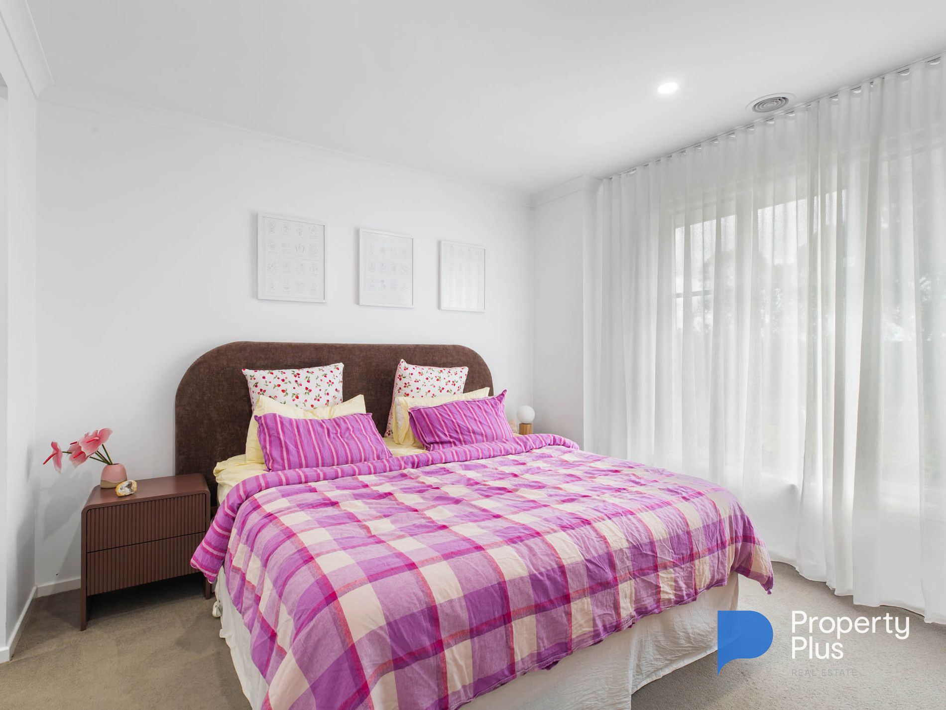 58 Andrew Street, White Hills