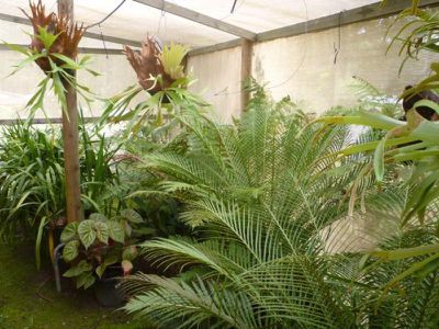 47 Ross Avenue, Narrawallee