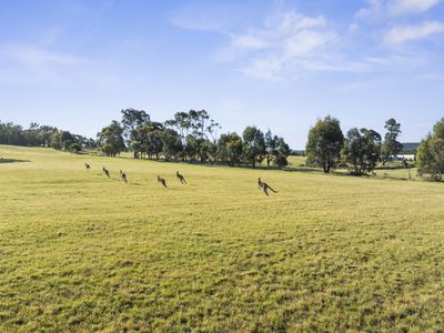 Lot 2 Wombat Lane, Tolmie