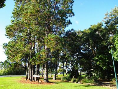 8 Cox Drive, Tweed Heads South