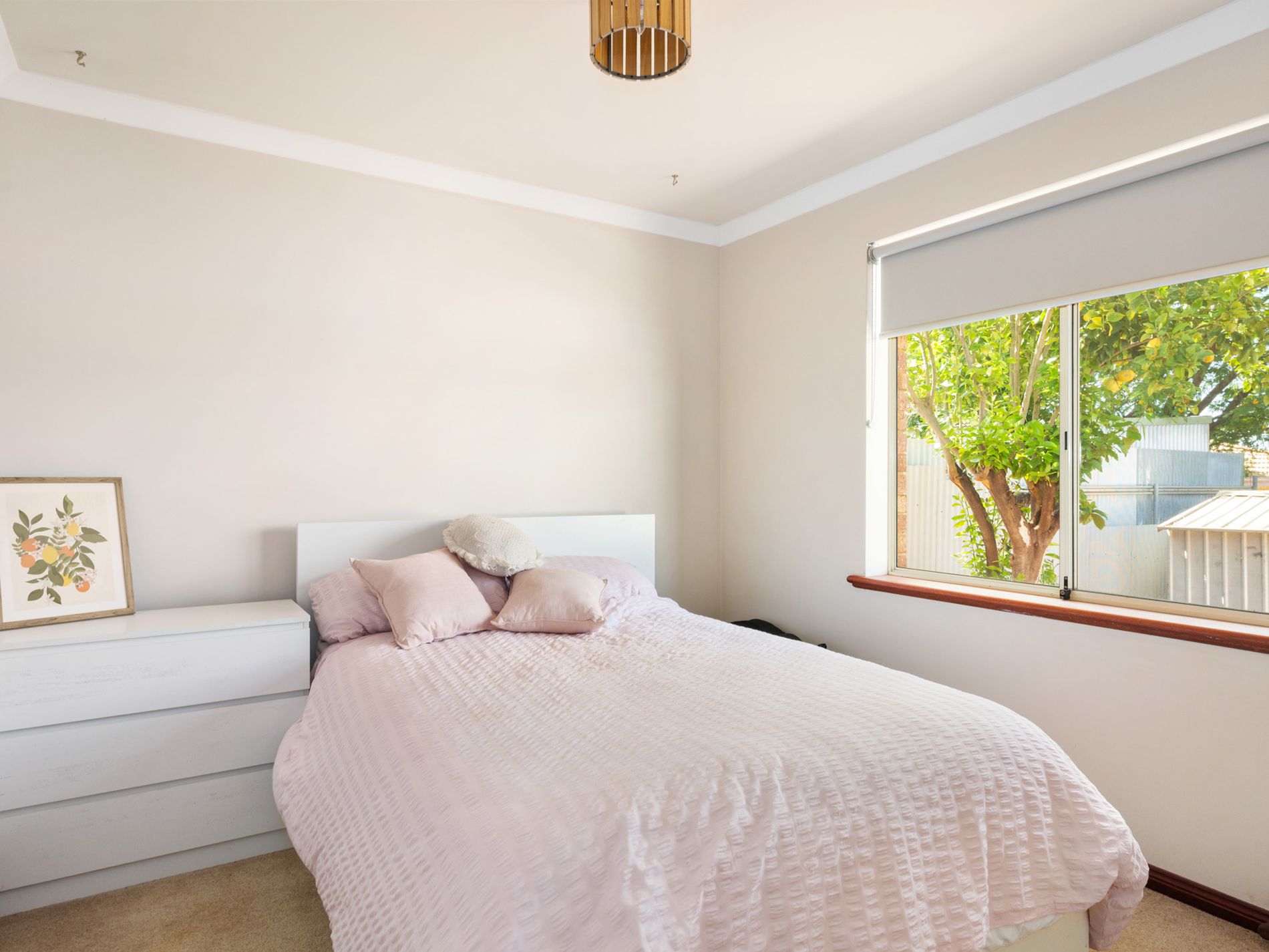 8A Paddington Drive, Hannans