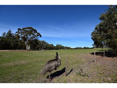 184 Canham Road, Birdwood