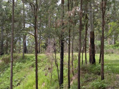 L179 Kilcoy Lane, Conondale