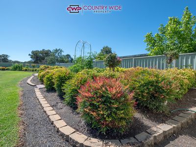 72 Forbes Street, Deepwater