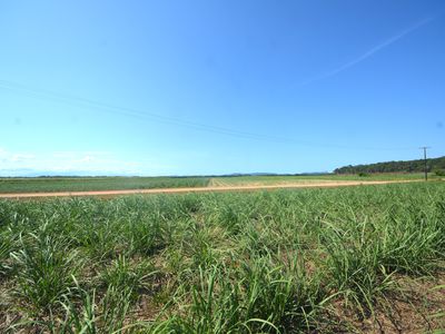 164 Gangemi Road, Lower Cowley