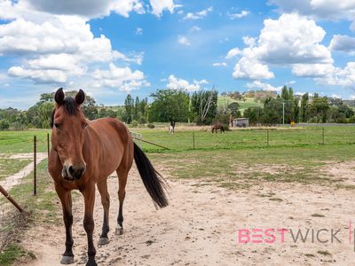 14 Harrow Street, Lyndhurst