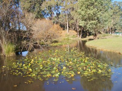 Beechworth