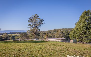 18 Bottomley Drive, Emerald